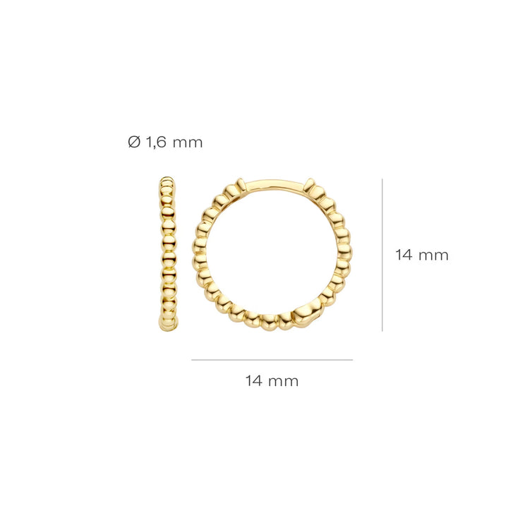 Blush Ohrringe 14k Gelbgold - 7290YGO
