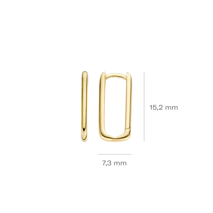 Blush Ohrringe 14k Gelbgold - 7295YGO