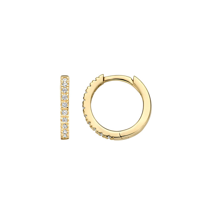 Blush Earrings 14k Yellow Gold - 7307YZI