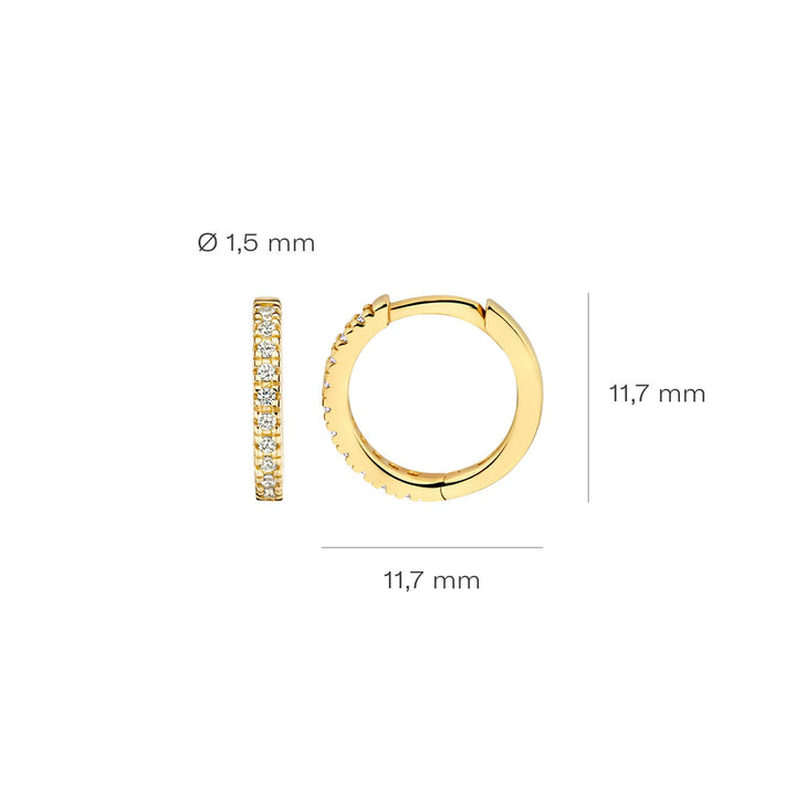 Blush Ohrringe 14k Gelbgold - 7307YZI