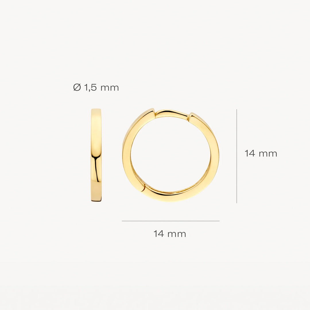 Blush Ohrringe 14k Gelbgold - 7308YGO
