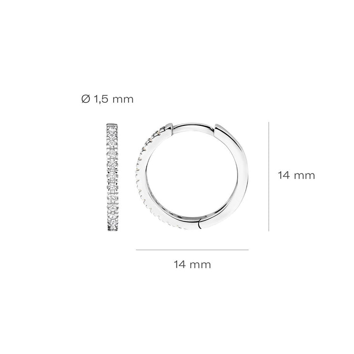 Blush Ohrringe 14k Weissgold - 7309WZI