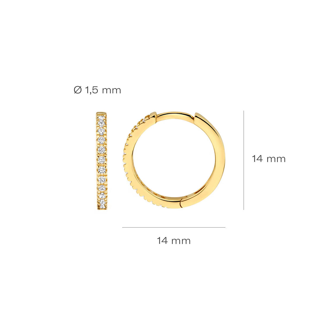 Blush Ohrringe 14k Gelbgold - 7309YZI