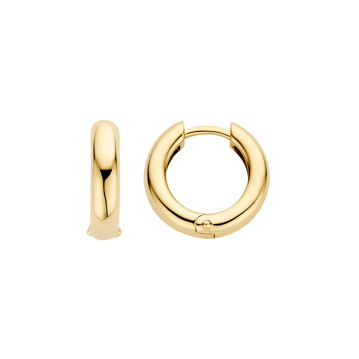 Blush Earrings 14k Yellow Gold - 7316YGO