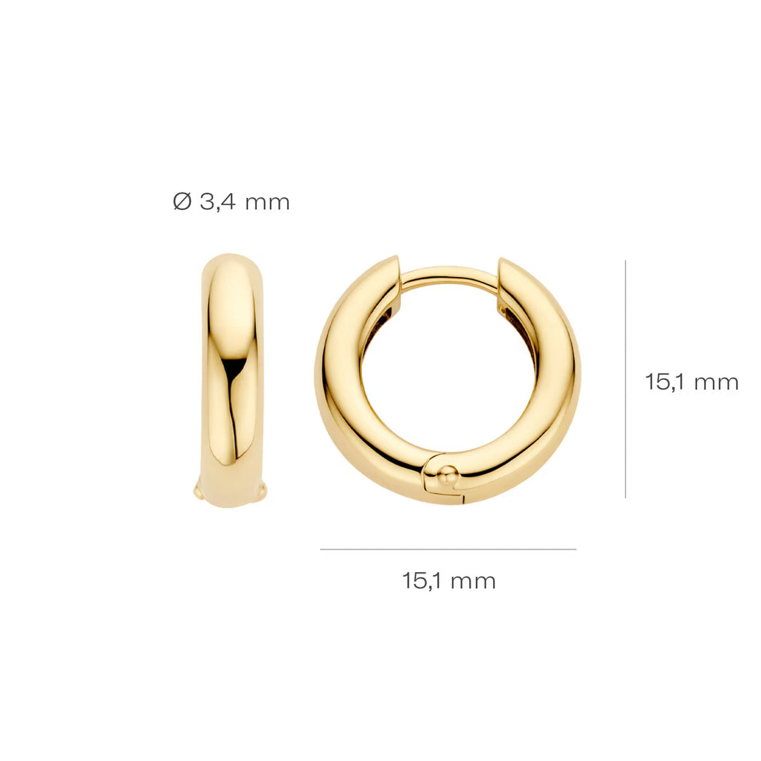 Blush Ohrringe 14k Gelbgold - 7316YGO
