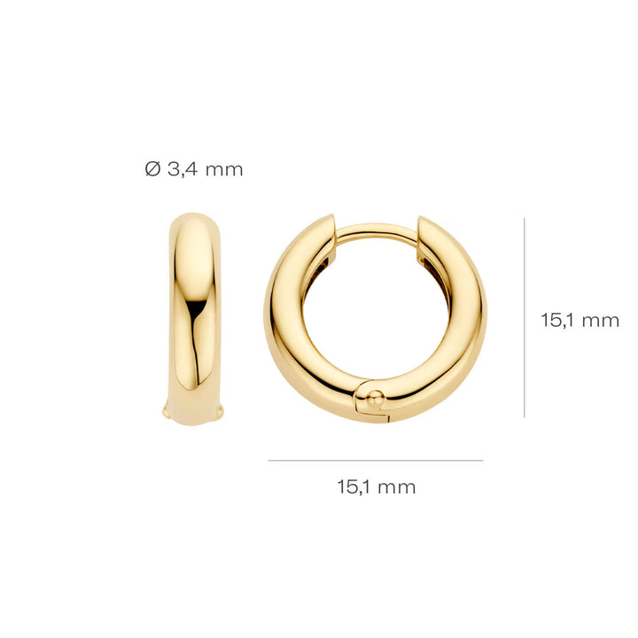 Blush Ohrringe 14k Gelbgold - 7316YGO