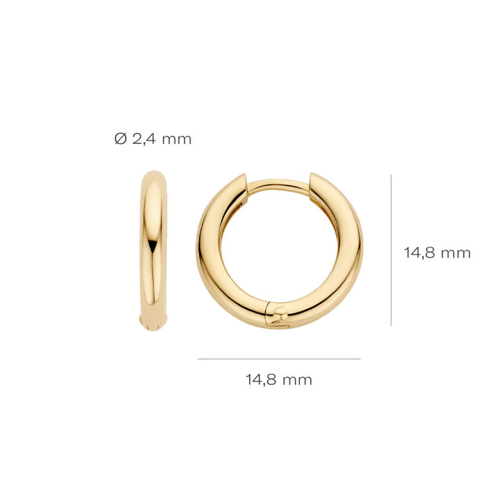 Blush Ohrringe 14k Gelbgold - 7317YGO
