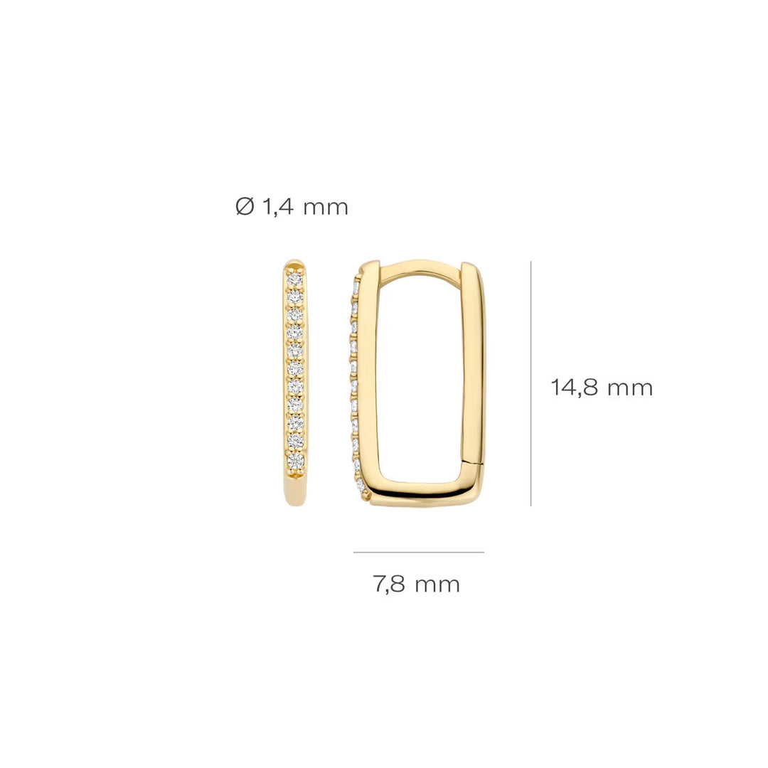 Blush Ohrringe 14k Gelbgold - 7318YZI