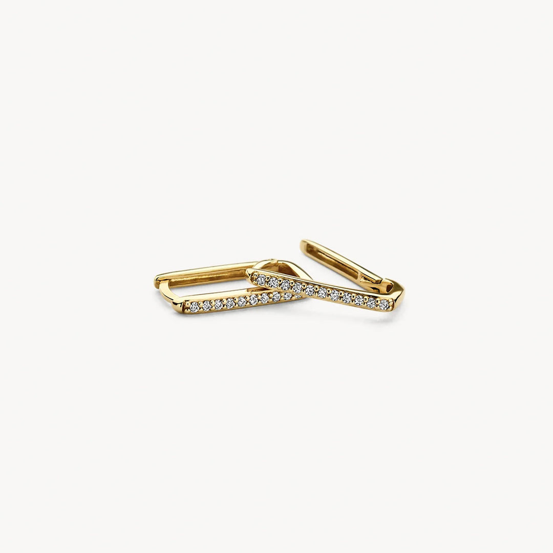 Blush Ohrringe 14k Gelbgold - 7318YZI