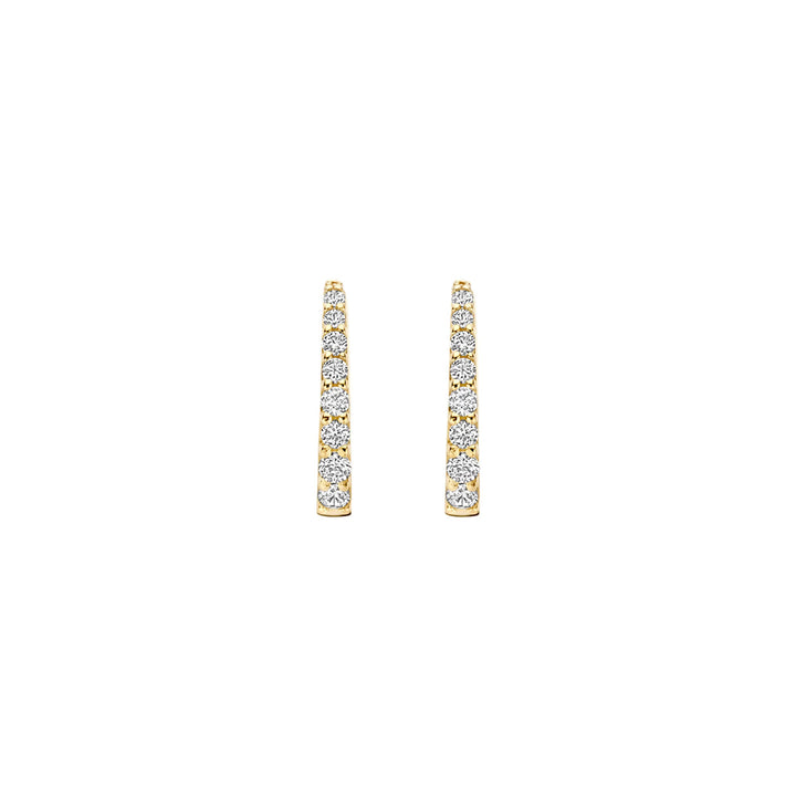 Blush Ohrringe 14k Gelbgold - 7341YZI