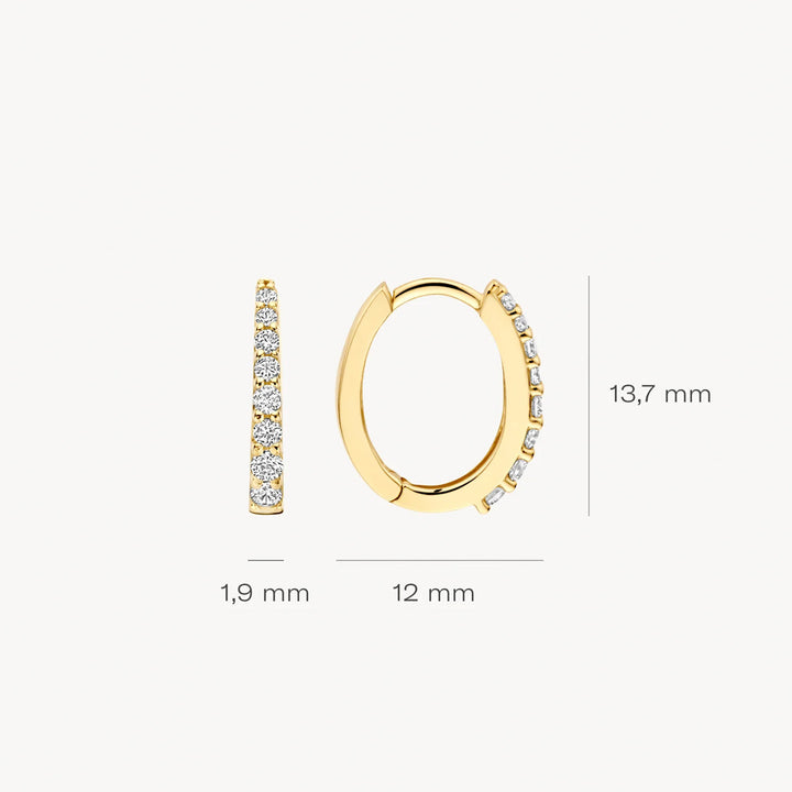 Blush Ohrringe 14k Gelbgold - 7341YZI