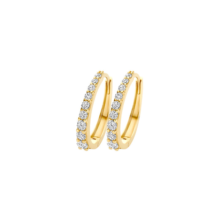Blush Ohrringe 14k Gelbgold - 7342YZI