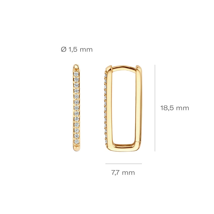 Blush Ohrringe 14k Gelbgold - 7343YZI