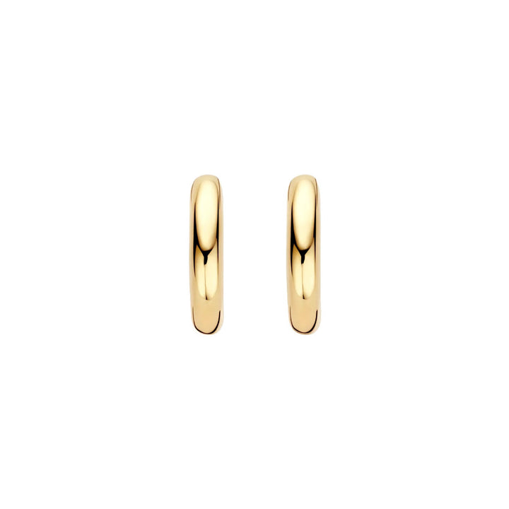 Blush Ohrringe 14k Gelbgold - LG7021Y