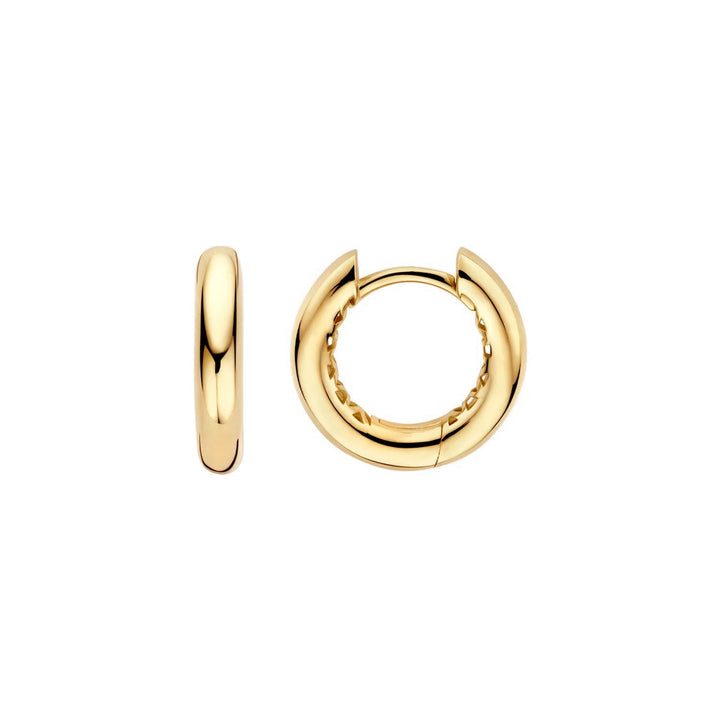 Blush Earrings 14k Yellow Gold - LG7021Y