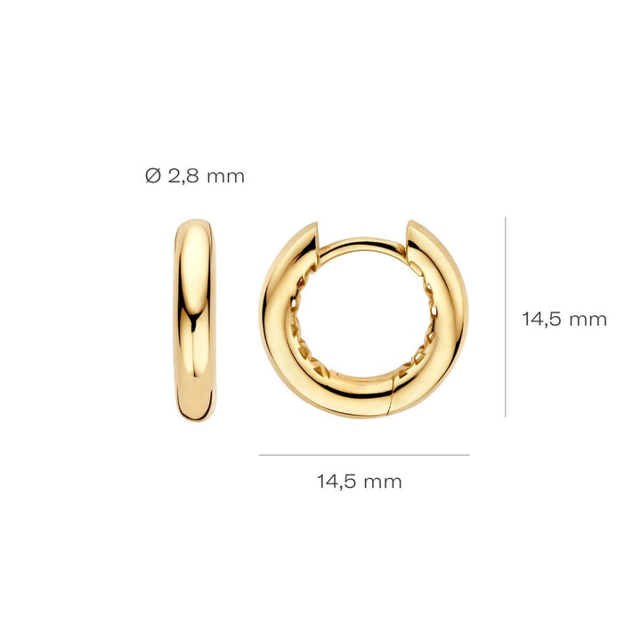 Blush Ohrringe 14k Gelbgold - 7369YGO