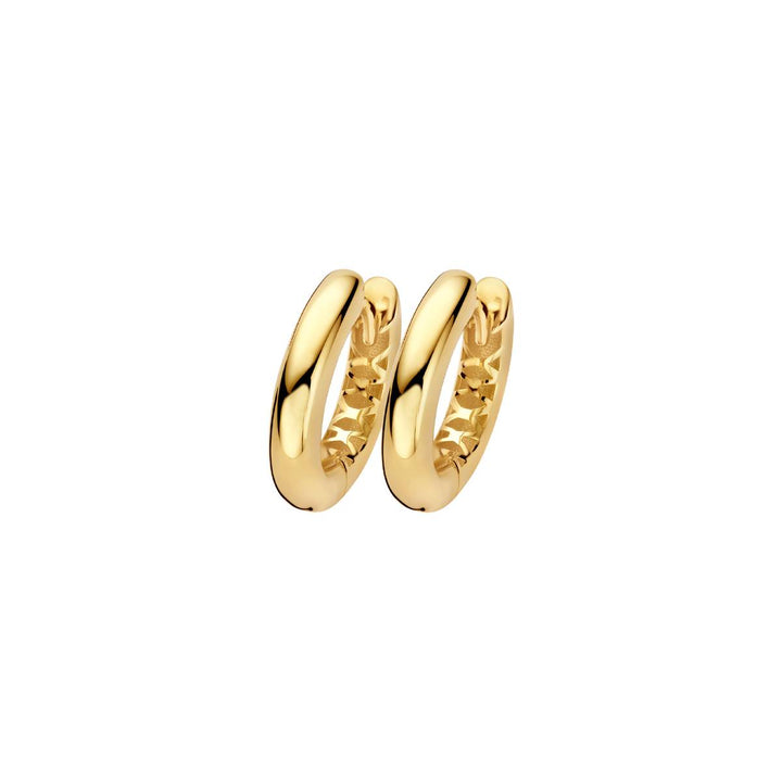 Blush Ohrringe 14k Gelbgold - 7369YGO