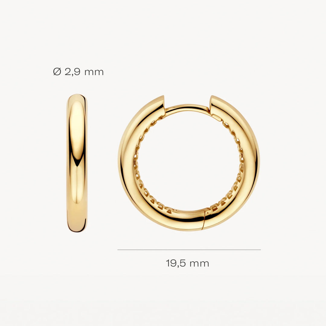 Blush Creolen 14k Gelbgold - LG7022Y