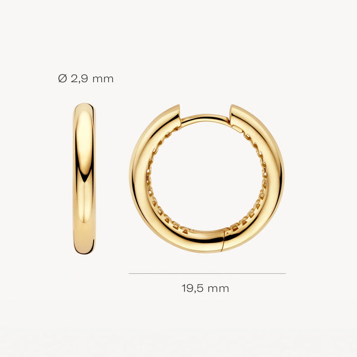 Blush Creolen 14k Gelbgold - LG7022Y