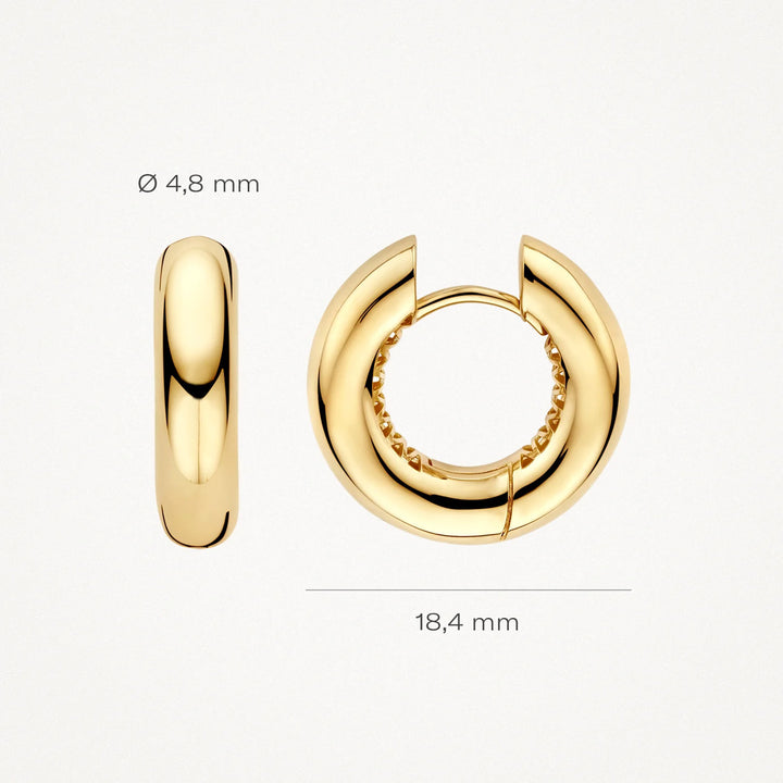Blush Creolen 14k Gelbgold - LG7023Y
