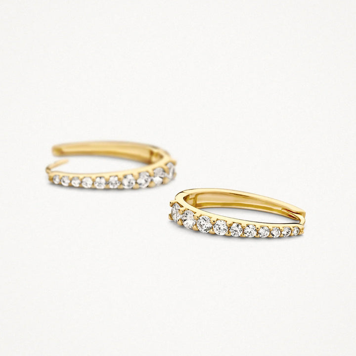 Blush Ohrringe 14k Gelbgold - 7375YZI