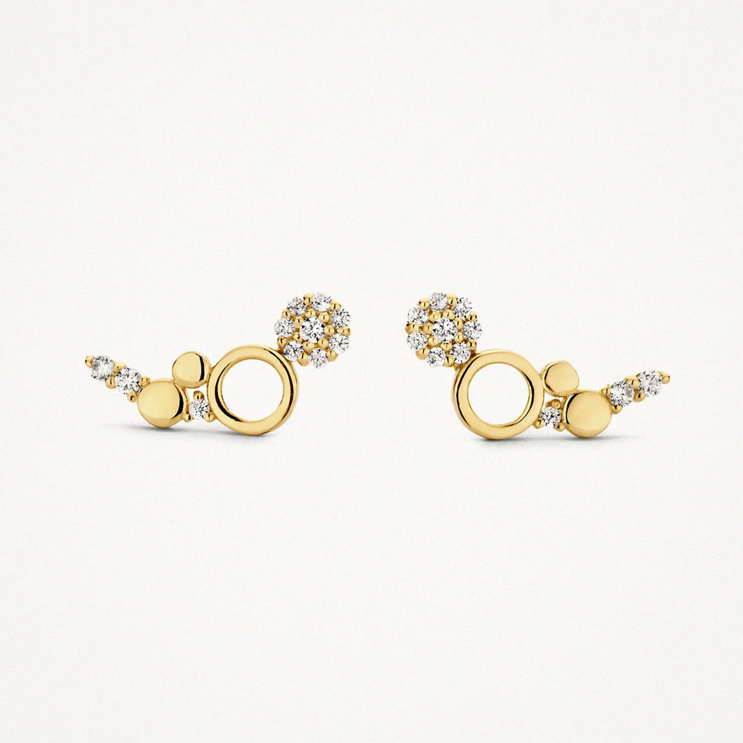 Blush Ohrstecker 14k Gelbgold - 7377YZI