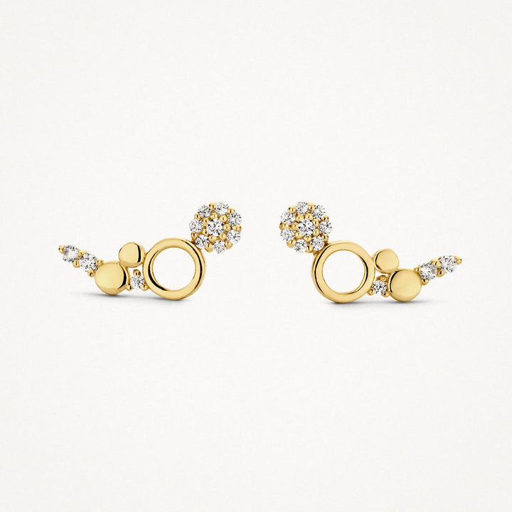 Blush Ohrstecker 14k Gelbgold - 7377YZI
