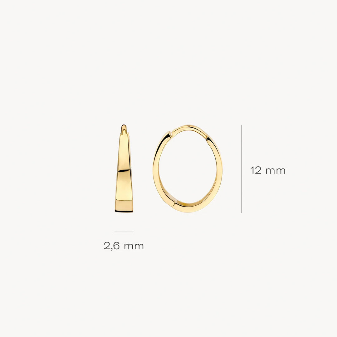 Blush Ohrringe 14k Gelbgold - 7379YGO