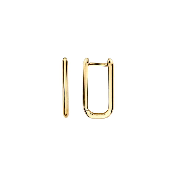 Blush Ohrringe 14k Gelbgold - 7380YGO