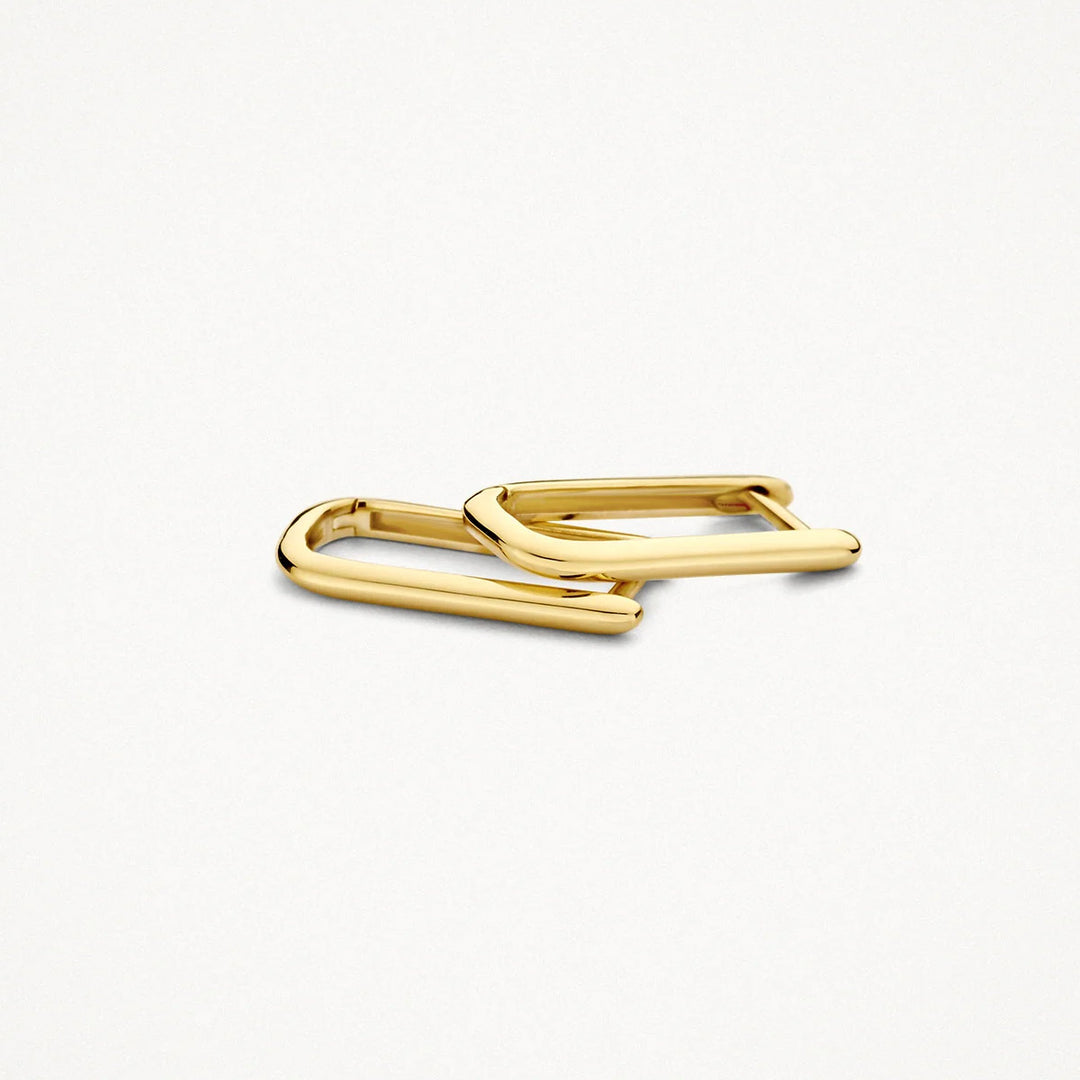 Blush Ohrringe 14k Gelbgold - 7380YGO