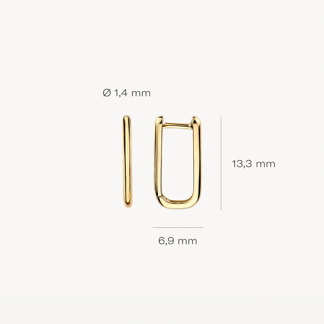 Blush Ohrringe 14k Gelbgold - 7380YGO