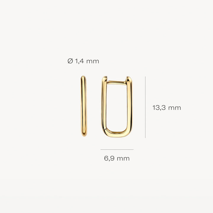 Blush Ohrringe 14k Gelbgold - 7380YGO
