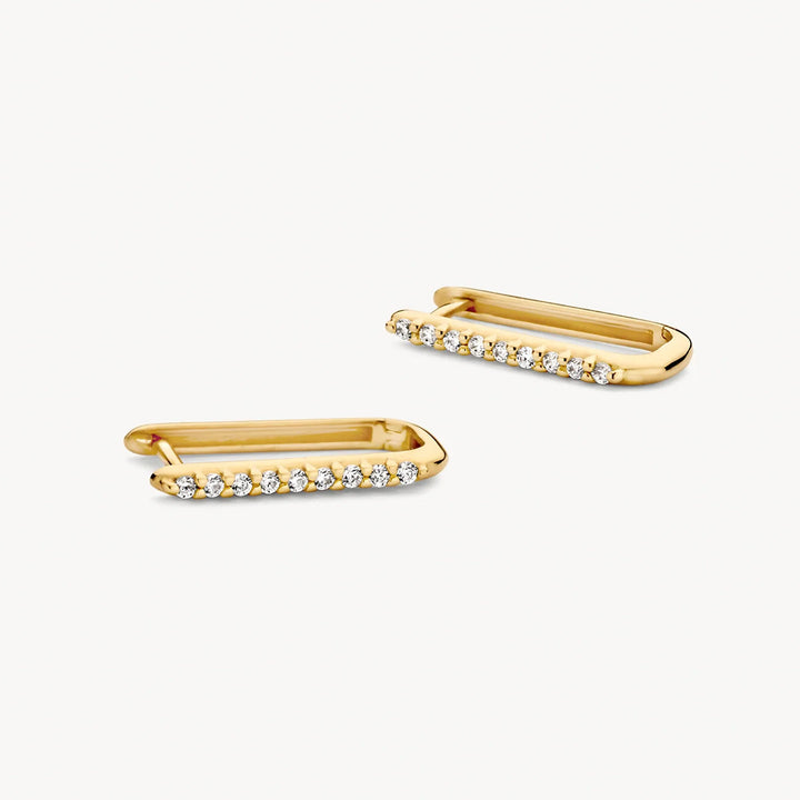 Blush Ohrringe 14k Gelbgold - 7381YZI