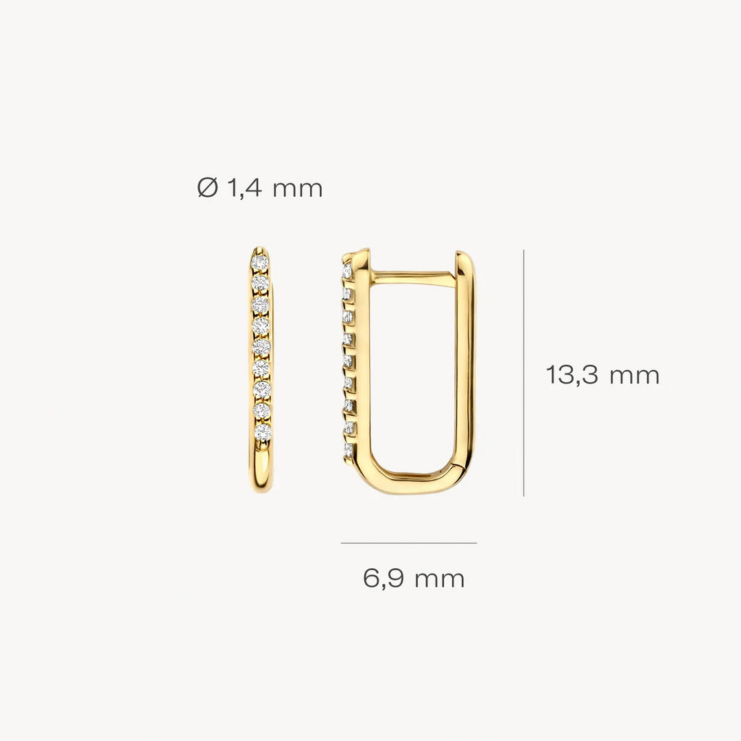 Blush Ohrringe 14k Gelbgold - 7381YZI
