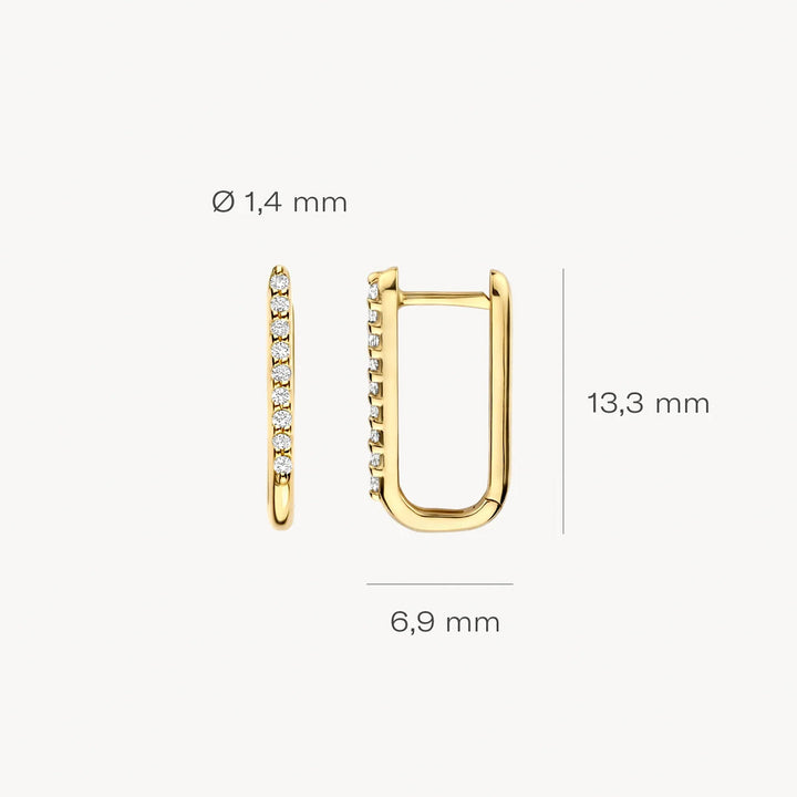 Blush Ohrringe 14k Gelbgold - 7381YZI