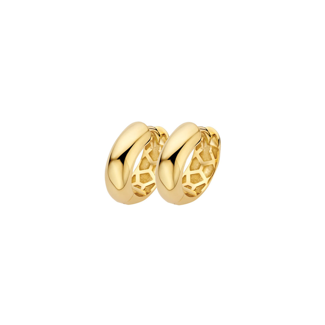 Blush Ohrringe 14k Gelbgold - 7388YGO