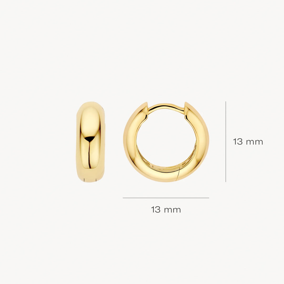 Blush Ohrringe 14k Gelbgold - 7388YGO