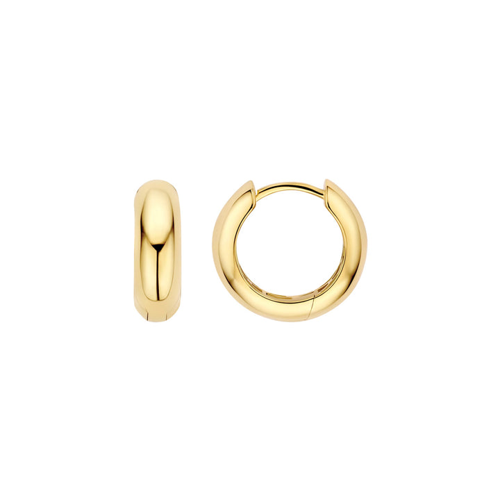 Blush Ohrringe 14k Gelbgold - 7389YGO