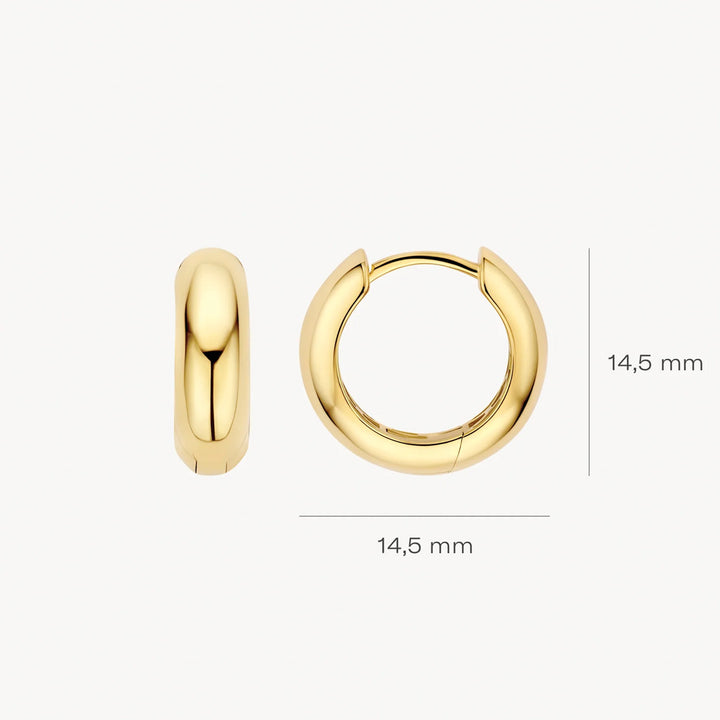Blush Ohrringe 14k Gelbgold - 7389YGO
