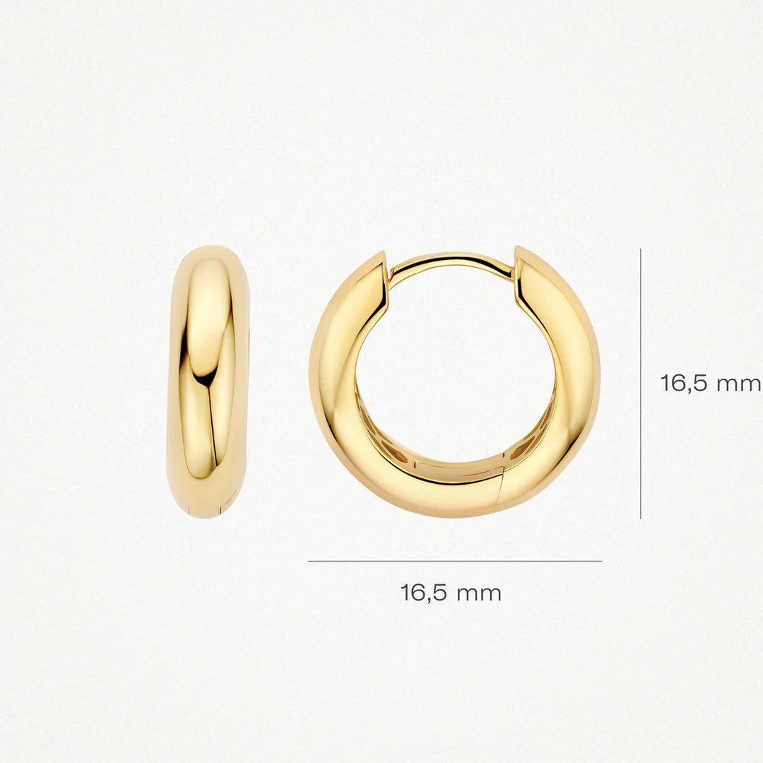 Blush Ohrringe 14k Gelbgold - 7390YGO