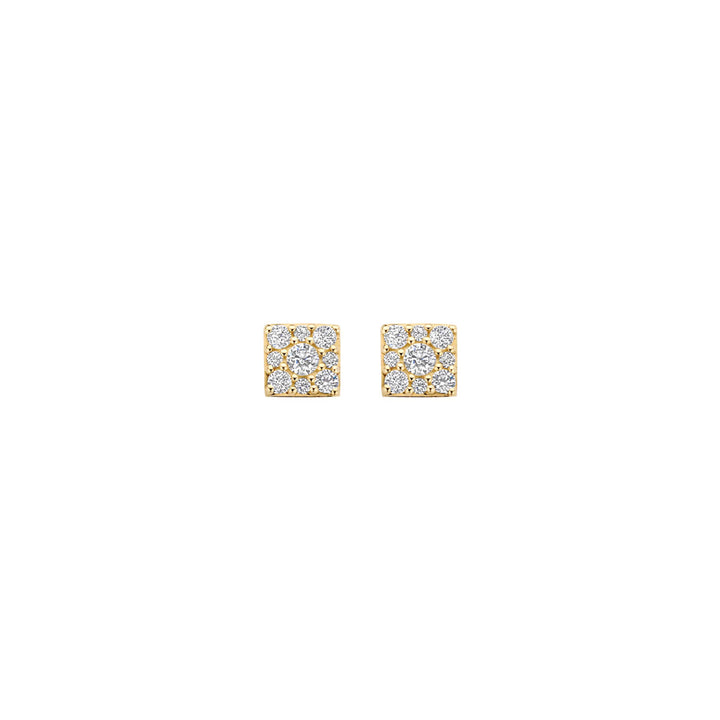 Blush Ohrstecker 14k Gelbgold - 7395YZI
