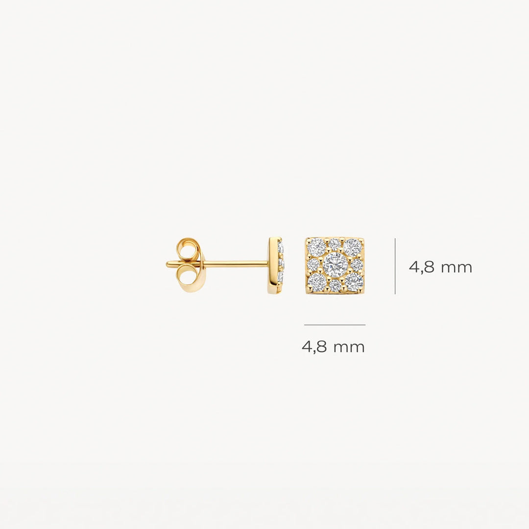 Blush Ohrstecker 14k Gelbgold - 7395YZI