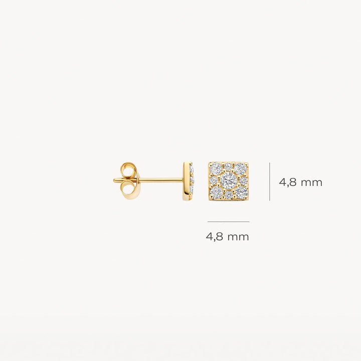 Blush Ohrstecker 14k Gelbgold - 7395YZI