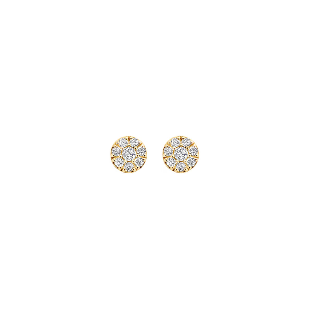 Blush Ohrstecker 14k Gelbgold - 7396YZI
