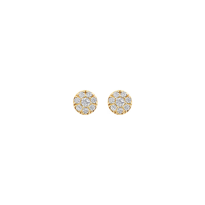 Blush Ohrstecker 14k Gelbgold - 7396YZI