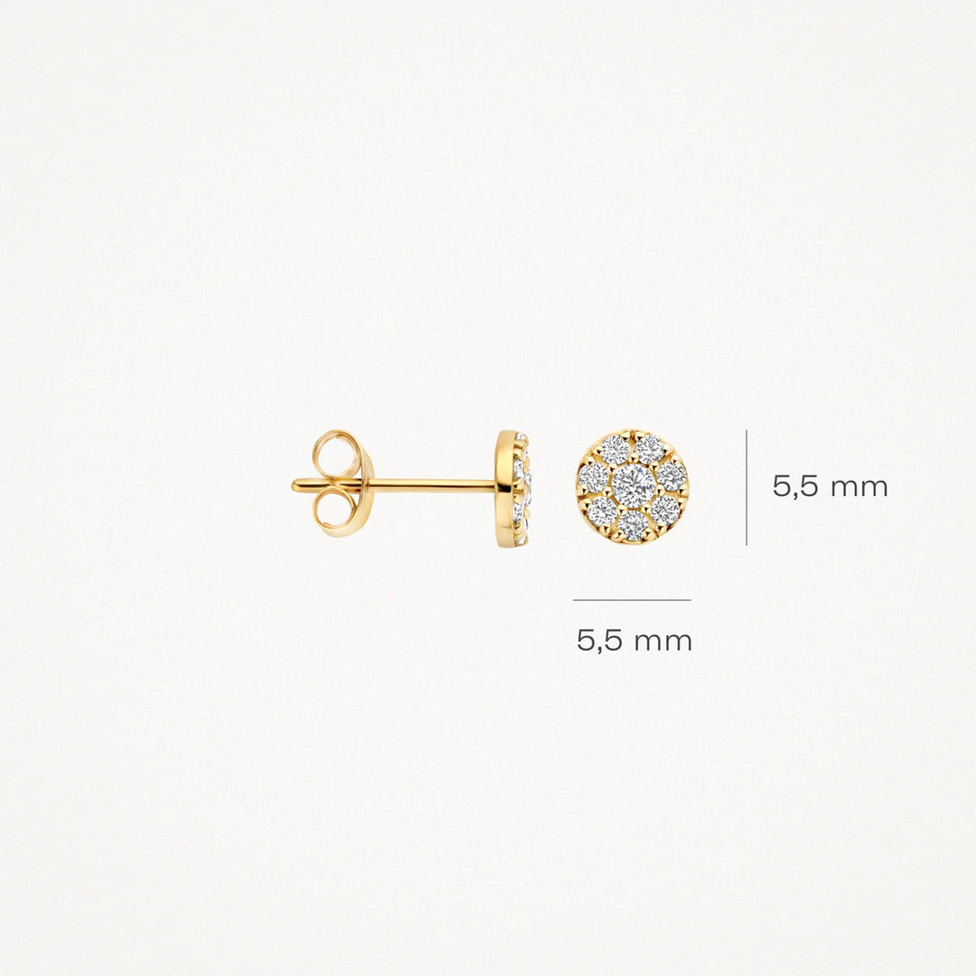 Blush Ohrstecker 14k Gelbgold - 7396YZI