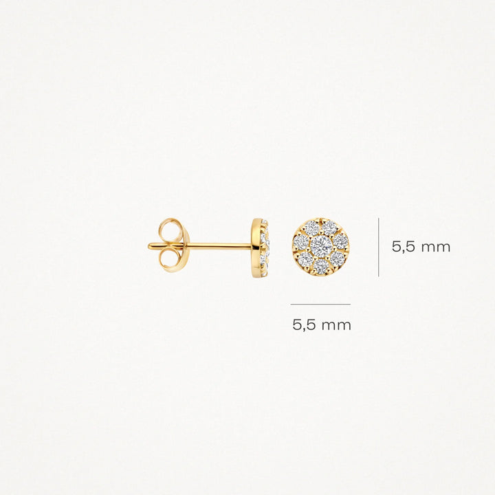 Blush Ohrstecker 14k Gelbgold - 7396YZI