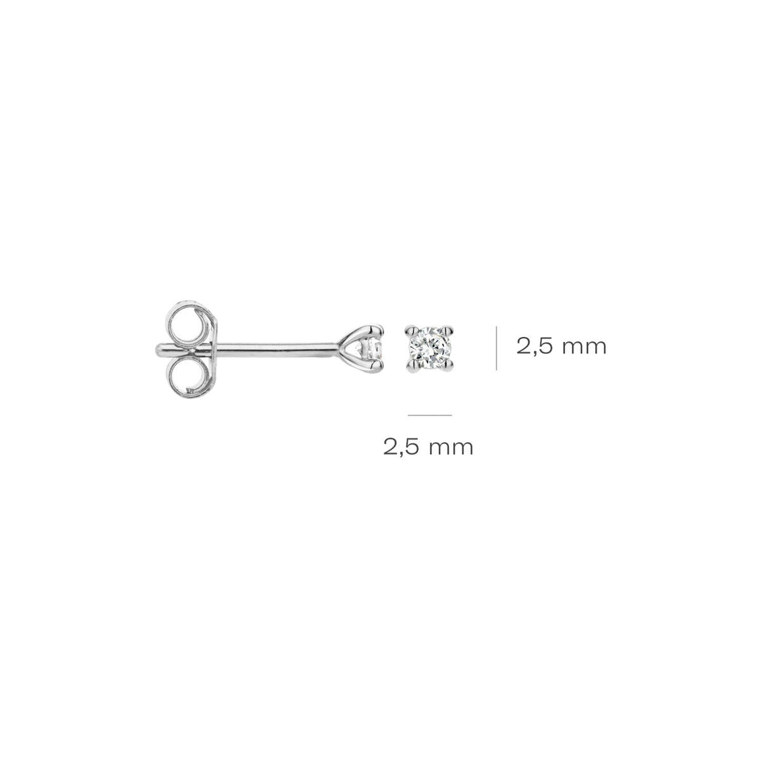 Blush Diamonds Ohrstecker 14k Weissgold - 7601WDI