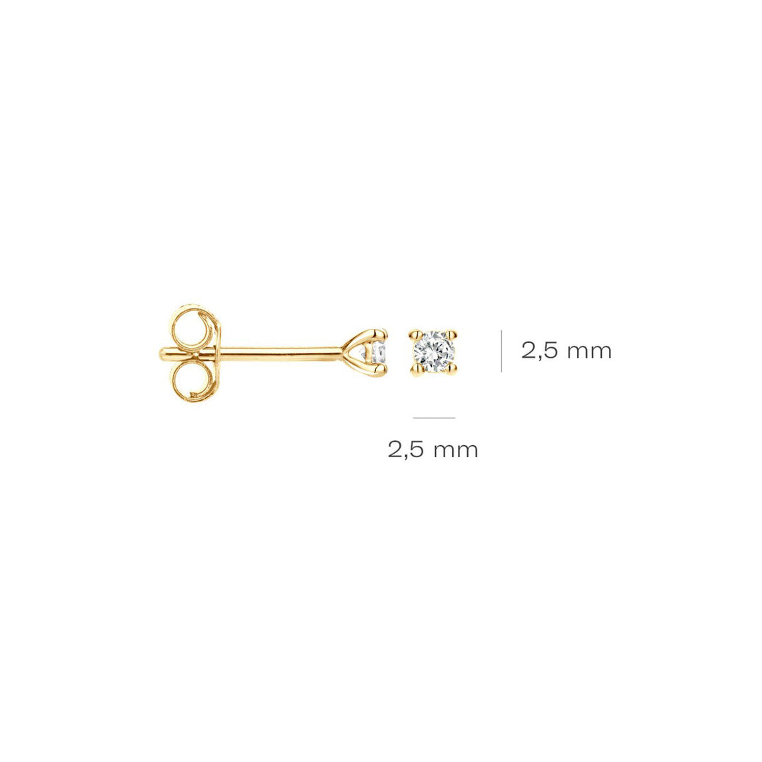 Blush Diamonds Ohrstecker 14k Gelbgold - 7601YDI