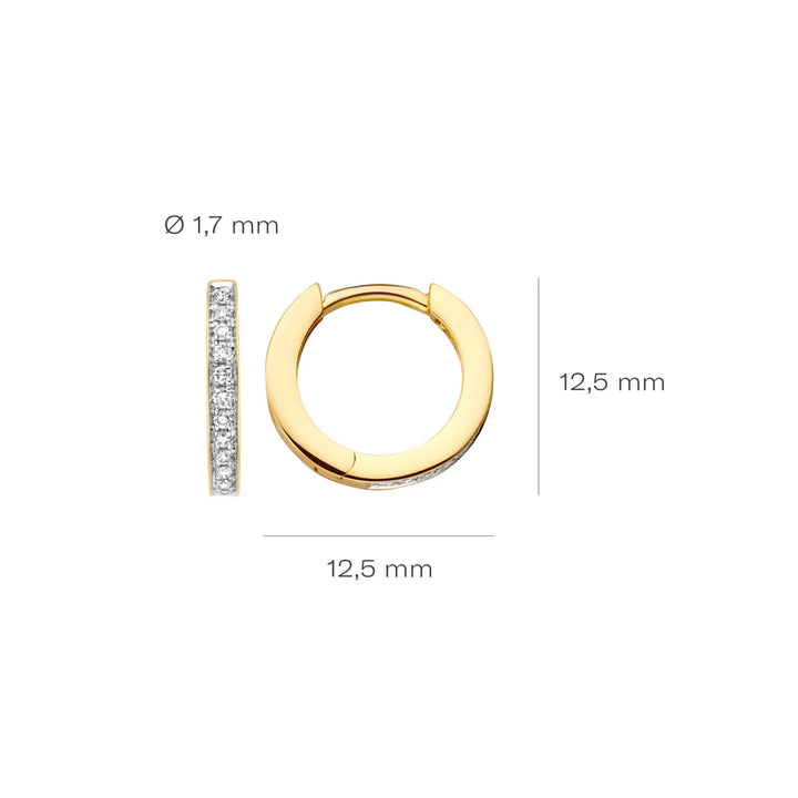 Blush Diamonds Ohrringe 14k Gelbgold und Weissgold - 7612BDI